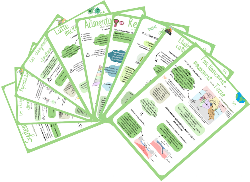 Fiches de révision pour le brevet de SVT avec 2 épreuves corrigées