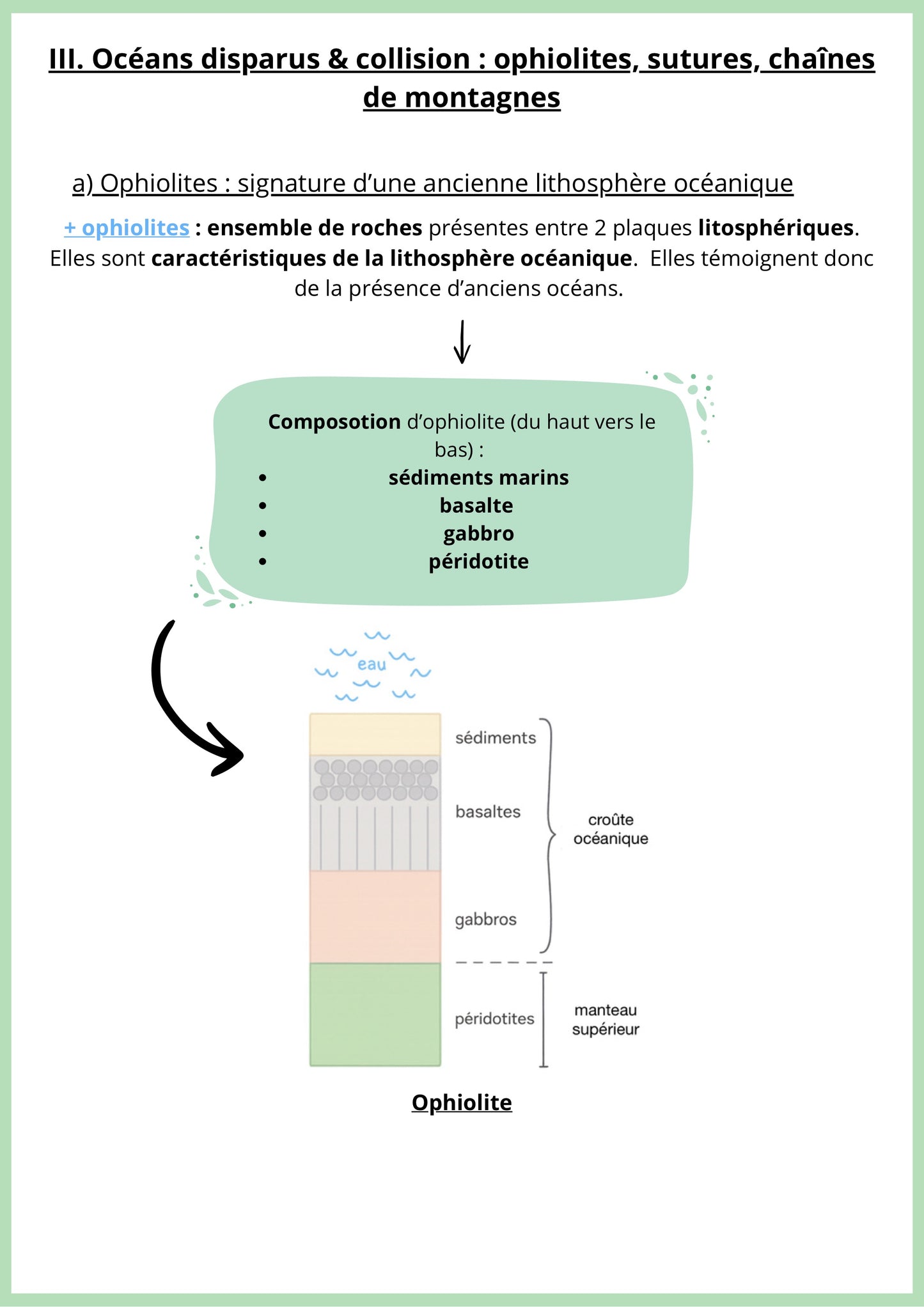Fiche de révision de SVT Terminale sur les ophiolites, sutures et chaînes de montagnes. Elle présente les ophiolites comme des fragments de lithosphère océanique anciens. Un schéma illustre leur composition et leur empilement dans les chaînes de collision. La fiche explique leur rôle comme marqueurs de subduction. Support pour réussir les sujets de bac SVT sur la tectonique des plaques.