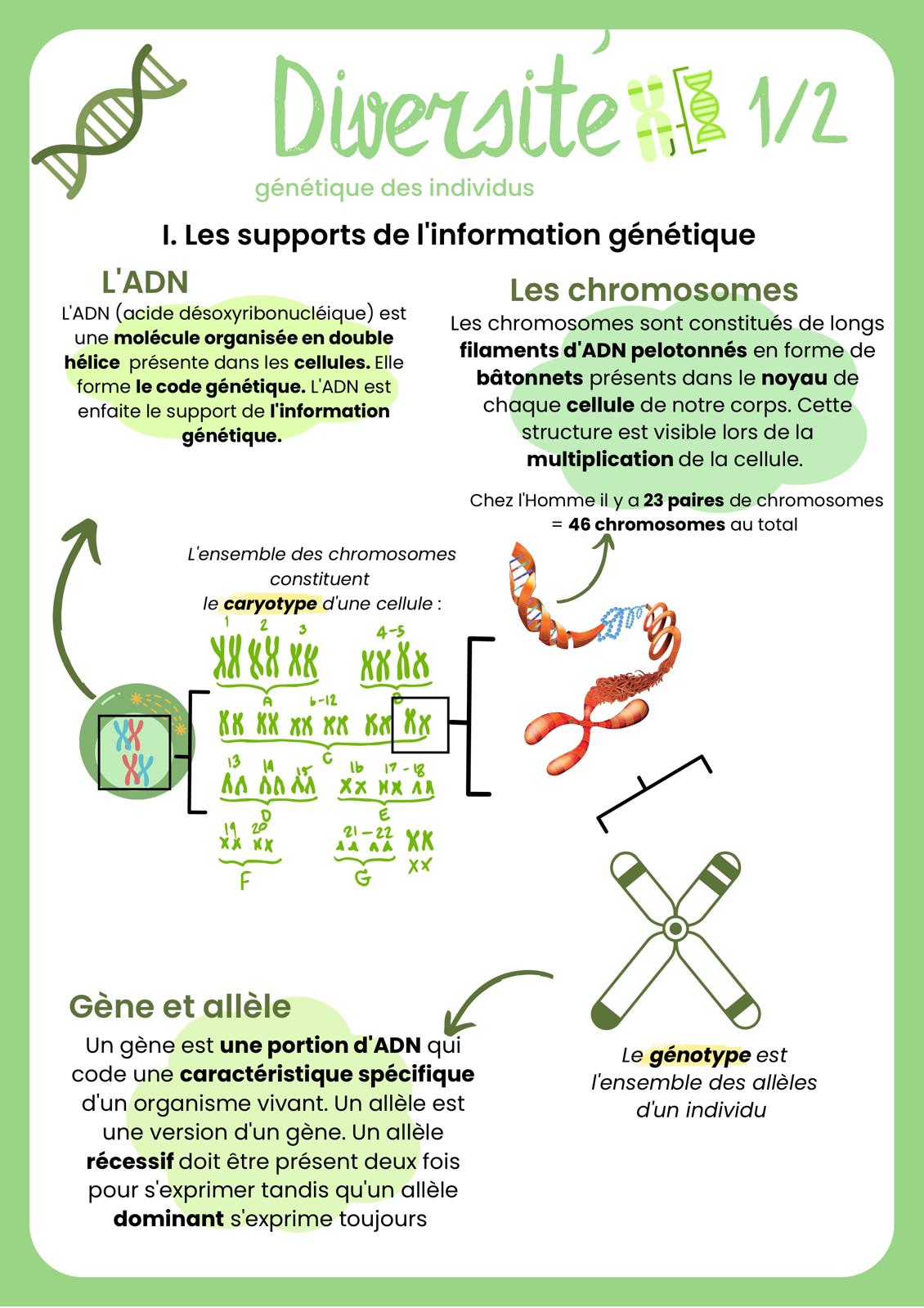 Pack brevet SVT + 2 corrections de Brevet (29 pages)