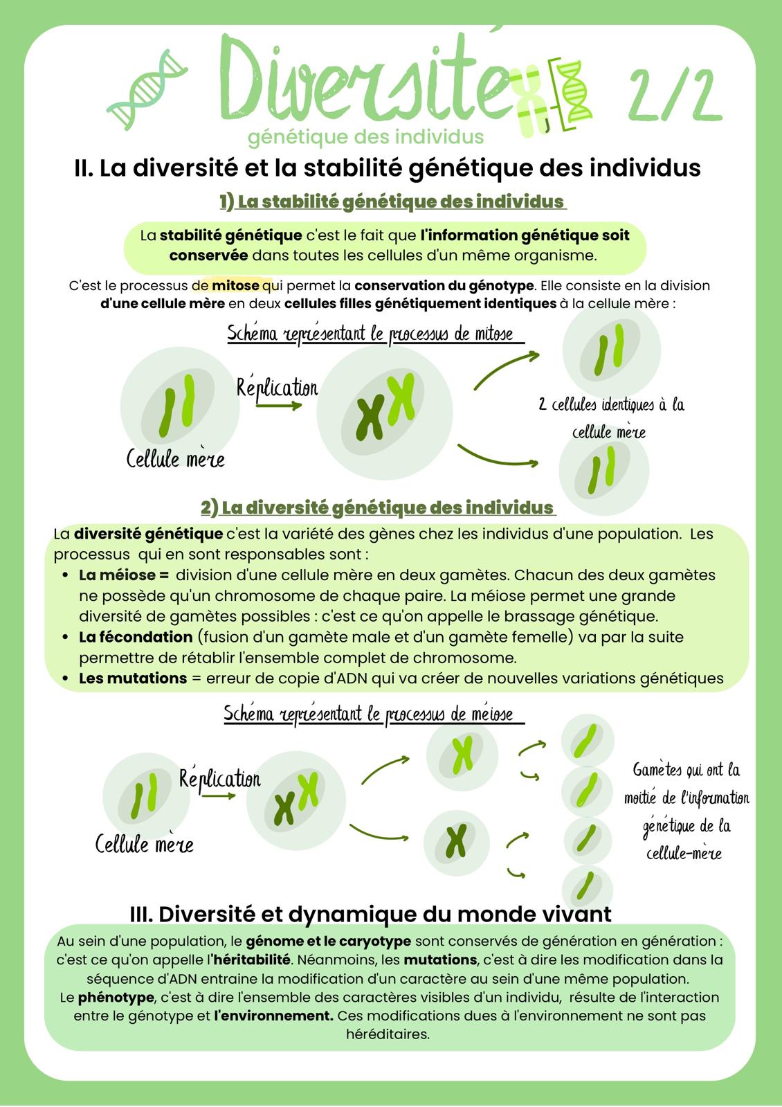 Pack brevet SVT + 2 corrections de Brevet (29 pages)