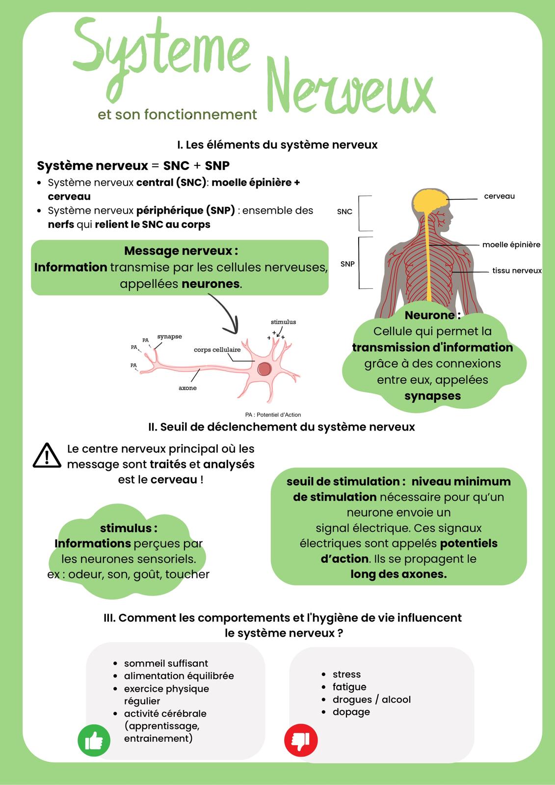 Pack brevet SVT + 2 corrections de Brevet (29 pages)