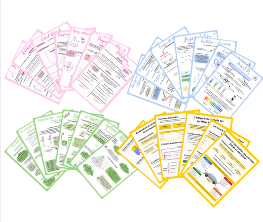 Pack scientifique : Maths, Physique-chimie, SVT et Techno + 6 corrections de Brevet (123 pages)