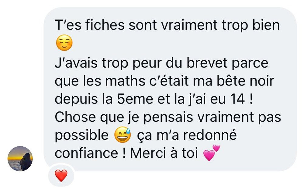 14 au brevet de maths après avoir détesté les maths depuis la 5ème — fiches Inès Maths